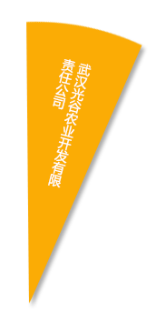乐动|LDSports(中国)有限公司
