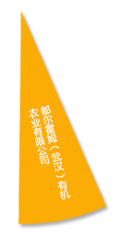 乐动|LDSports(中国)有限公司