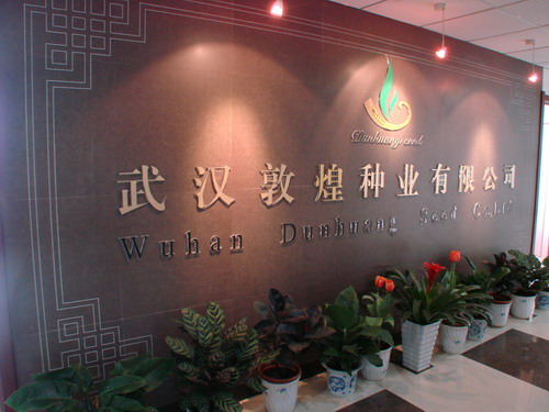 乐动|LDSports(中国)有限公司