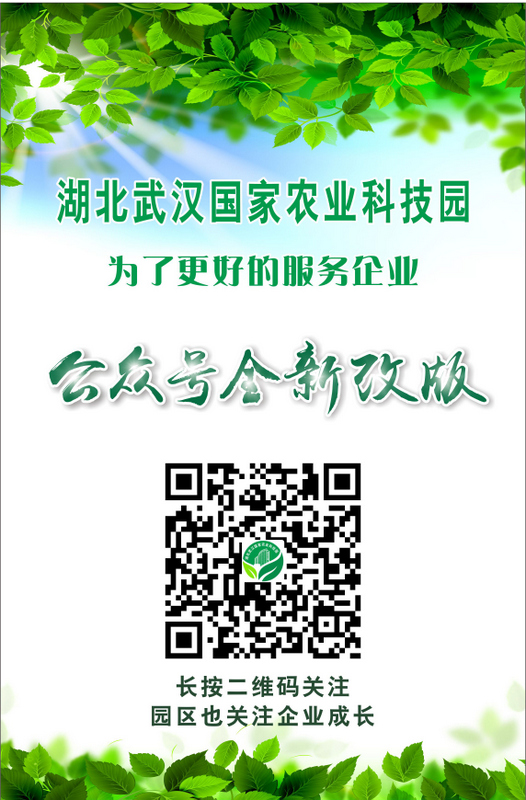 乐动|LDSports(中国)有限公司