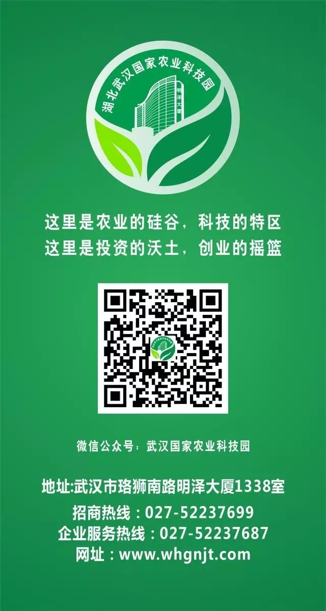 乐动|LDSports(中国)有限公司