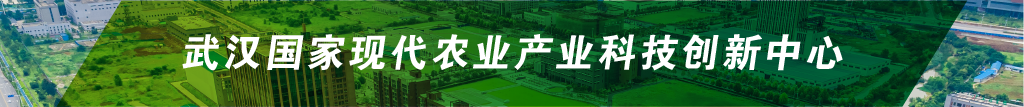乐动|LDSports(中国)有限公司